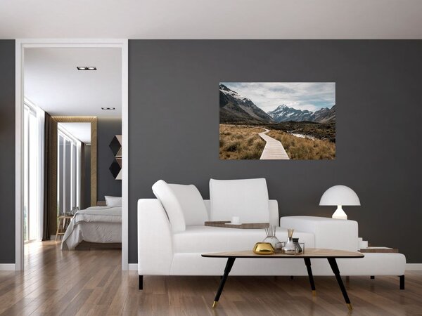 Tablou - Poteca în valea muntelui Mt. Cook (90x60 cm)