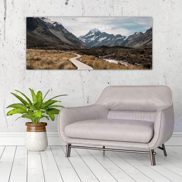 Tablou - Poteca în valea muntelui Mt. Cook (120x50 cm)