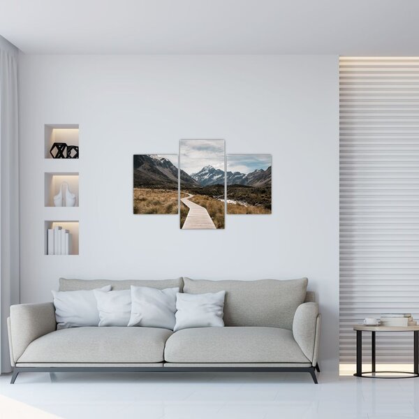 Tablou - Poteca în valea muntelui Mt. Cook (90x60 cm)