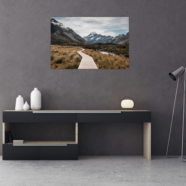 Tablou - Poteca în valea muntelui Mt. Cook (90x60 cm)