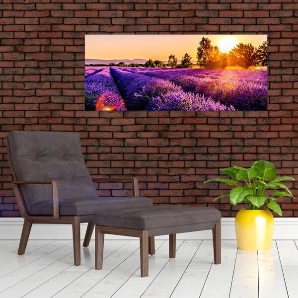 Tablou cu câmp de lavandă, Provincie (120x50 cm)