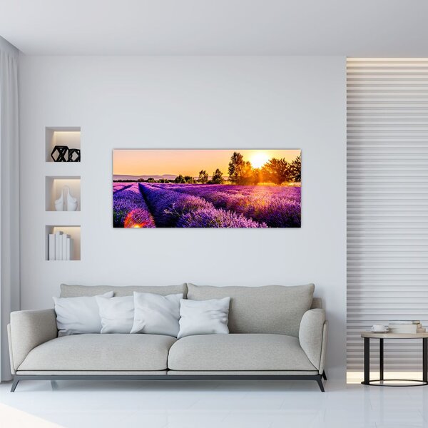 Tablou cu câmp de lavandă, Provincie (120x50 cm)