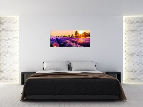 Tablou cu câmp de lavandă, Provincie (120x50 cm)