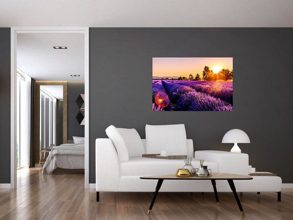 Tablou cu câmp de lavandă, Provincie (90x60 cm)