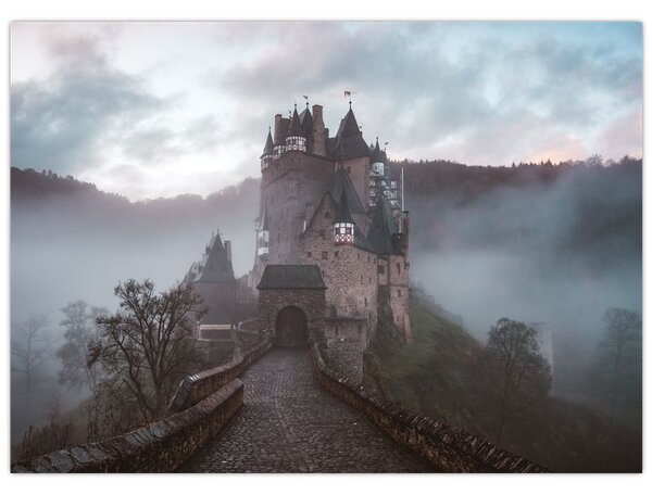 Tablou - Eltz Castle, Germania (70x50 cm)