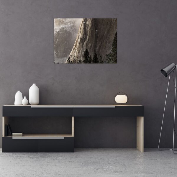 Tablou din valea Yosemite parcul național, SUA (70x50 cm)