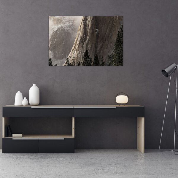 Tablou din valea Yosemite parcul național, SUA (90x60 cm)