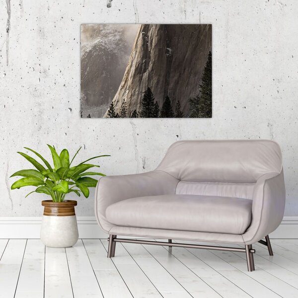 Tablou din valea Yosemite parcul național, SUA (70x50 cm)