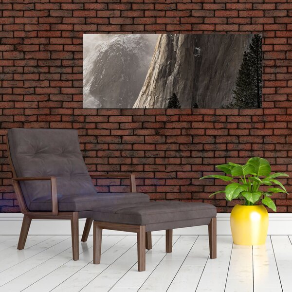 Tablou din valea Yosemite parcul național, SUA (120x50 cm)