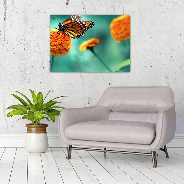 Tablou cu fluture (70x50 cm)