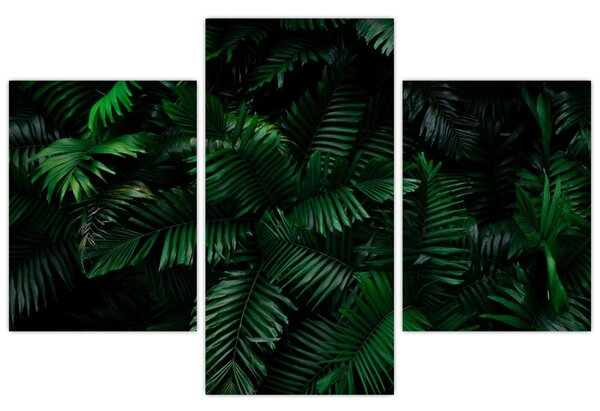 Tablou - Păpădii tropicale (90x60 cm)