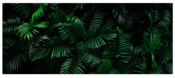 Tablou - Păpădii tropicale (120x50 cm)
