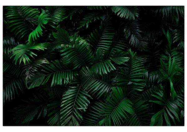 Tablou - Păpădii tropicale (90x60 cm)