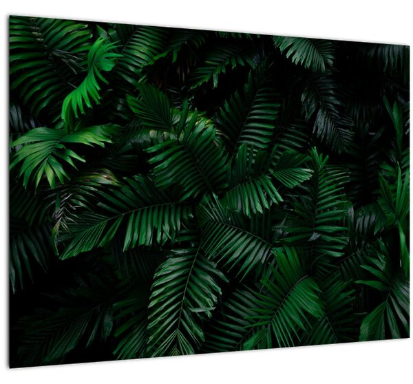 Tablou - Păpădii tropicale (70x50 cm)
