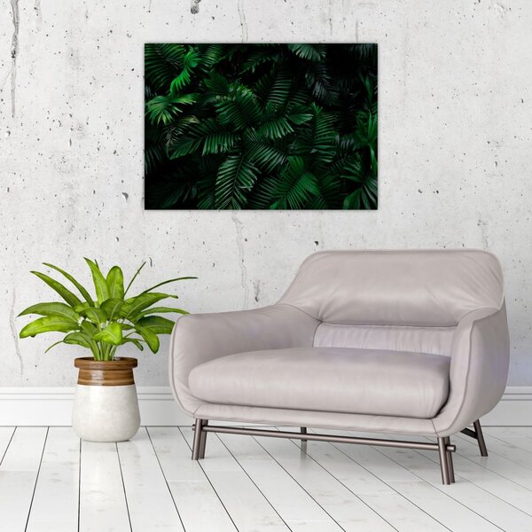 Tablou - Păpădii tropicale (70x50 cm)