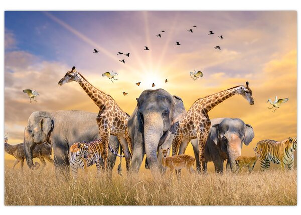 Tablou - Animae din Africa (90x60 cm)