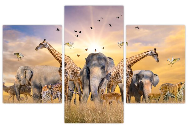 Tablou - Animae din Africa (90x60 cm)