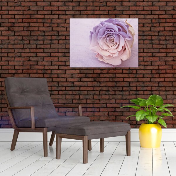 Tablou detaliu florii de trandafir (70x50 cm)