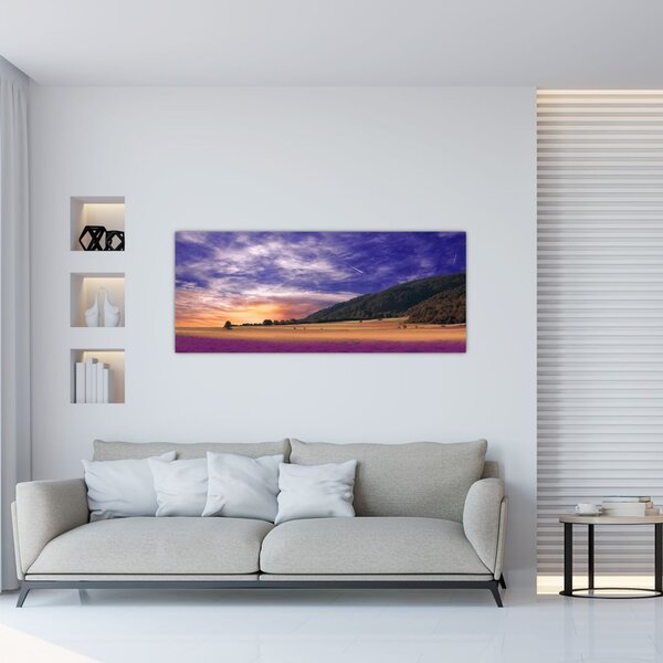 Tablou cu lunca cu lavandă (120x50 cm)