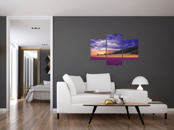 Tablou cu lunca cu lavandă (90x60 cm)