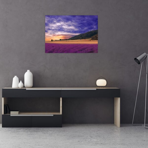 Tablou cu lunca cu lavandă (70x50 cm)