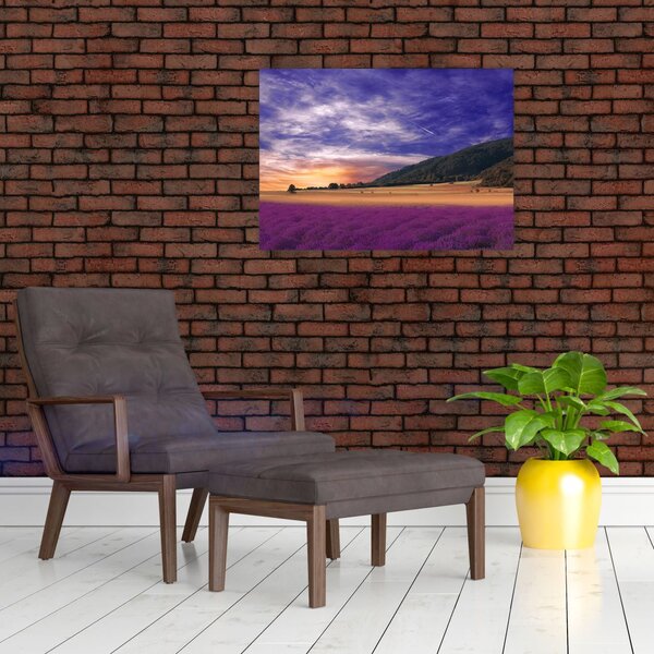 Tablou cu lunca cu lavandă (70x50 cm)