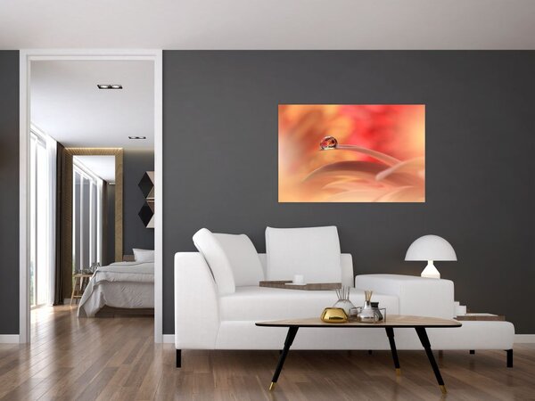 Tablou picăturii de rouă pe floare (90x60 cm)