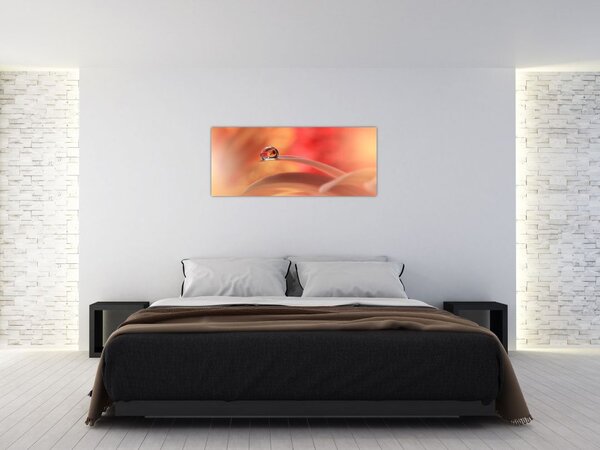 Tablou picăturii de rouă pe floare (120x50 cm)
