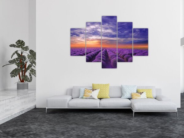 Tablou câmpului cu lavandă (150x105 cm)