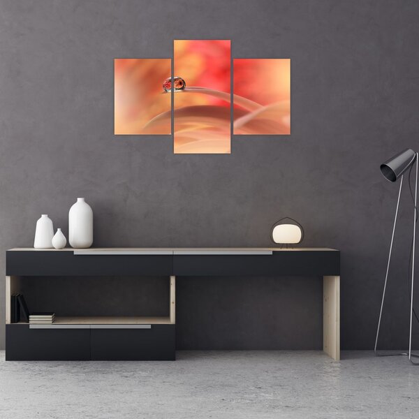 Tablou picăturii de rouă pe floare (90x60 cm)