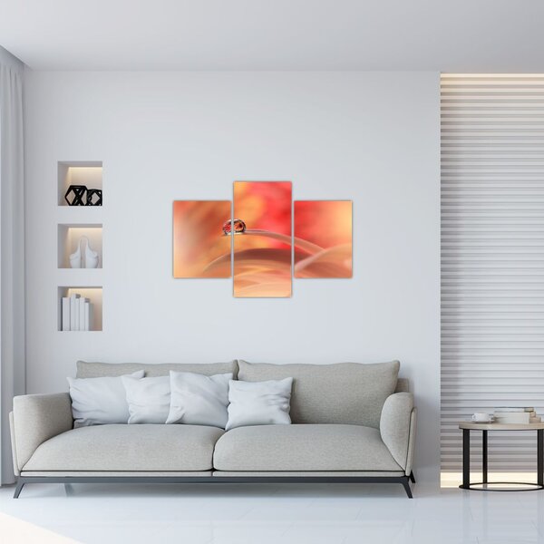 Tablou picăturii de rouă pe floare (90x60 cm)