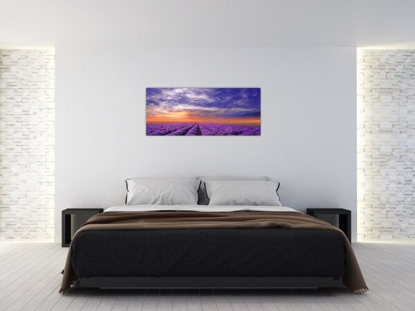 Tablou câmpului cu lavandă (120x50 cm)