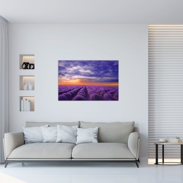 Tablou câmpului cu lavandă (90x60 cm)