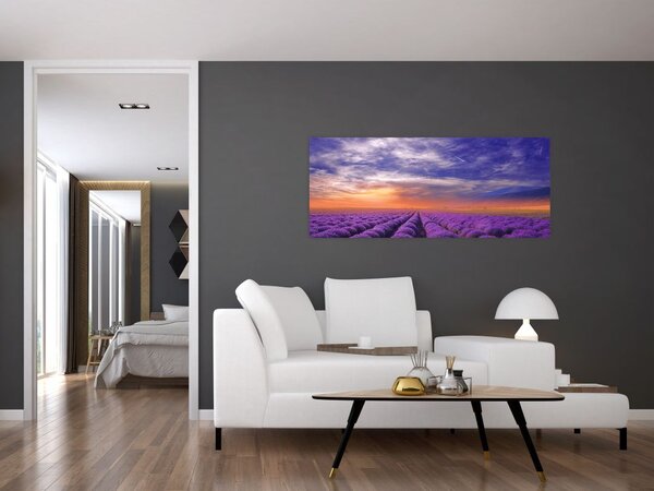Tablou câmpului cu lavandă (120x50 cm)
