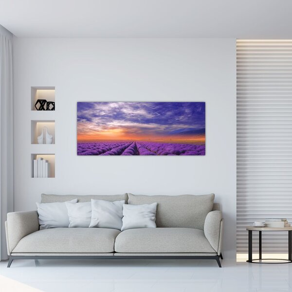 Tablou câmpului cu lavandă (120x50 cm)