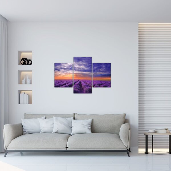 Tablou câmpului cu lavandă (90x60 cm)