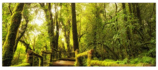 Tablou junglei cu mușchi (120x50 cm)