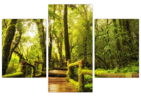 Tablou junglei cu mușchi (90x60 cm)