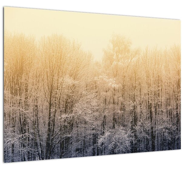 Tablou cu pădure geroasă (70x50 cm)