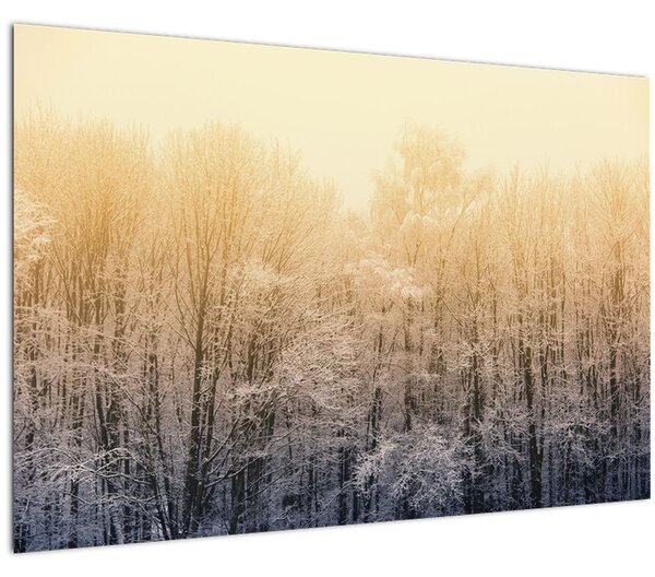 Tablou cu pădure geroasă (90x60 cm)