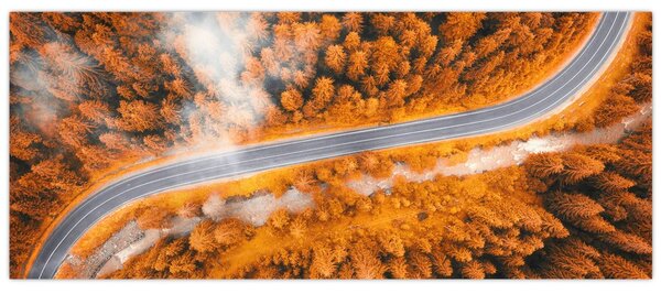 Tablou - Strada montană (120x50 cm)