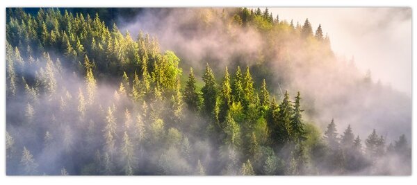 Tablou peisajului montan (120x50 cm)