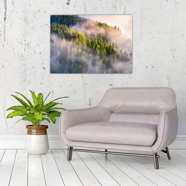 Tablou peisajului montan (70x50 cm)