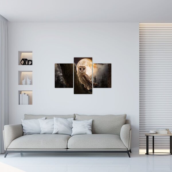 Tablou cu bufnița (90x60 cm)