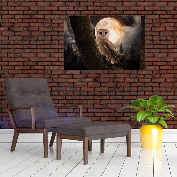 Tablou cu bufnița (90x60 cm)