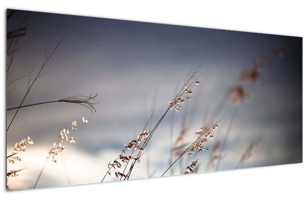 Tablou -Flori de luncă (120x50 cm)