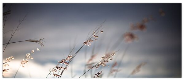 Tablou -Flori de luncă (120x50 cm)