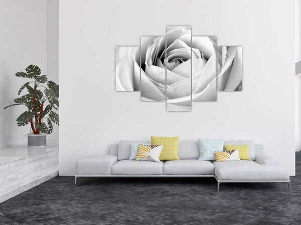 Tablou - Detailu de floare de trandafir (150x105 cm)