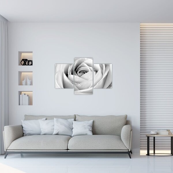 Tablou - Detailu de floare de trandafir (90x60 cm)