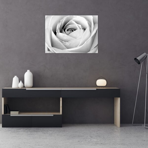 Tablou - Detailu de floare de trandafir (70x50 cm)